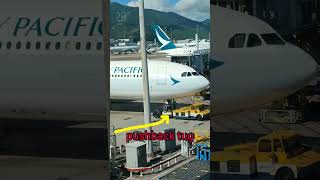 this car is called pushback tugairport dailyvlog shorts [upl. by Annaiv515]