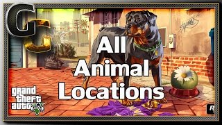 GTA V PC  Unlock All Animals Peyote Plant Locations [upl. by Phillips712]