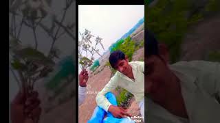 Rahul singer Mewati song Liyakat Raj official [upl. by Fosdick385]