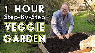 New Vegetable Garden How To Get Started [upl. by Alyt181]