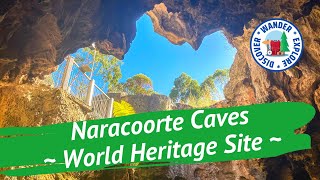 🌿 Naracoorte Caves  Discover South Australia [upl. by Ardnaik510]