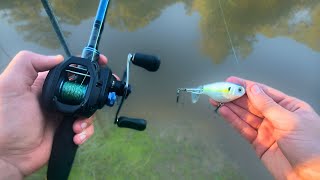 Topwater Whopper Plopper Fishing For Giant Summer Bass [upl. by Mariejeanne]