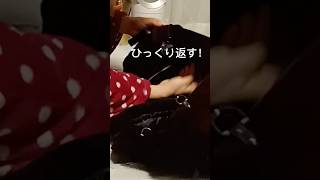 【コートリサイクル】重いメタルなコートを冬物クッションカバーに変身！My heavy metal coat transformed a winter cushion cover shorts [upl. by Dolloff262]