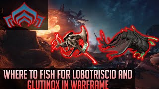 Where to find Lobotriscid and Glutinox in Warframe [upl. by Alfeus289]