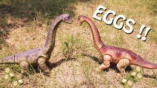 Dinosaur Walking and Laying Eggs Toy  Dinosaurs Toys For Kids Two Brachiosaurus Fun babies video [upl. by Fast]