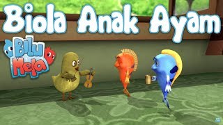 Bilu Mela Biola Anak Ayam [upl. by Ridgley]