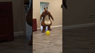 A fat shaggy dog brings balloons to the little doggie [upl. by Ainitsirk]