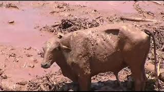 2019 Brumadinho Dam Disaster  Drone Flight [upl. by Lednahs890]