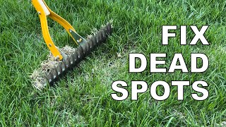 Fixing dead spots in your yard [upl. by Monty152]