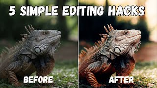 5 Essential Lightroom Editing Tips You Wont Learn Elsewhere [upl. by Eelak]