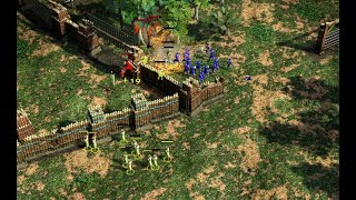 Quantity over Quality  New Tactics of Rushing  Age of Empires 3 Definitive Edition [upl. by Iams]