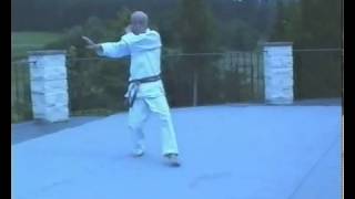 Tatsuo Suzuki  Bassai 拔塞 kata [upl. by Noral957]