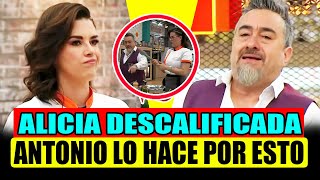 ALICIA MACHADO DESCALIFICADA POR CHEF ANTONIO 😮 AVANCE DEL MIERCOLES  TOP CHEF VIP 2024 EN VIVO [upl. by Jangro]