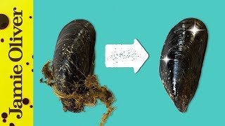 How To Prepare Mussels  1 Minute Tips  Bart’s Fish Tales [upl. by Burhans]