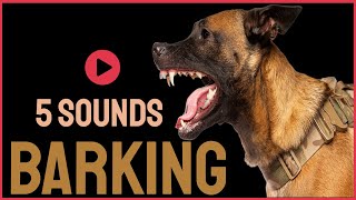 5 Dog Barking Sounds To Make Your Dogs Bark [upl. by Bruns]