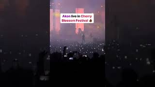 Akon  Chammak Challo  Cherry Blossom Festival 2024 [upl. by Amer]