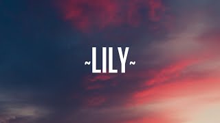 Alan Walker  Lily Lyrics ft K391 Emelie Hollow [upl. by Sartin]