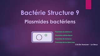 Bactérie Structure 9 MATERIEL GENETIQUE  PLASMIDES [upl. by Annawat]