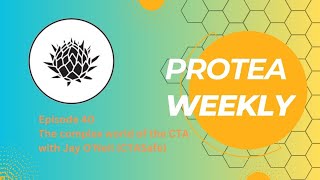 Protea Weekly  Episode 40  The complex world of the CTA  with Jay ONeil CTASafe [upl. by Esined203]