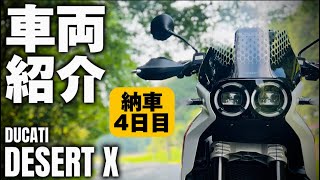 【納車】DUCATIデザートXの車両説明。カスタムポイントなど。motolab104 [upl. by Iloj709]