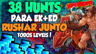 TIBIA  38 HUNTS EKED RUSHAR MT TODOS LEVEIS  TIBIA 2024 [upl. by Wilkens]