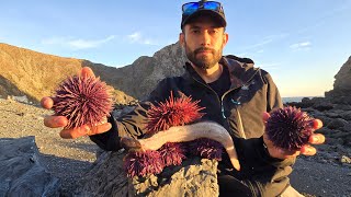 Eels and Uni Sea Urchin  Best Yield Ive Ever Seen [upl. by Esinev458]