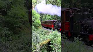 Dolgoch passes Ty Dwr [upl. by Rehpinej]