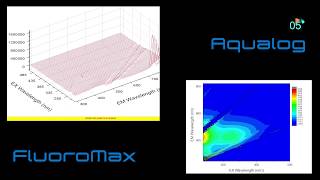 EEM Acquisition Speed Comparison [upl. by Ellenid]