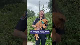 Behind the Badge Animal Services  Meet Katelyn amp Adam [upl. by Ahcarb]