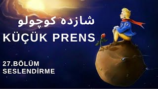 Kitap çalışması  27Bölüm  Küçük prensشازده کوچولوSeslendirme [upl. by Bornie]