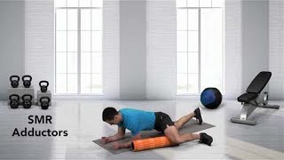 How to Foam Roll Adductors [upl. by Buchbinder]