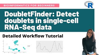 DoubletFinder Detect doublets in singlecell RNASeq data in R  Detailed workflow tutorial [upl. by Alleuol]