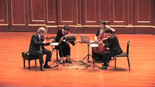 Borromeo Quartet Schubert quotDeath and the Maidenquot IV [upl. by Evania771]