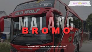 Trip Report Jakarta Malang Naik Bus Medium Midas Red Wolf [upl. by Ring602]