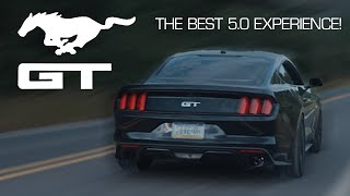 Mustang GT Universal Valved Muffler Sound Demonstration [upl. by Kristen]