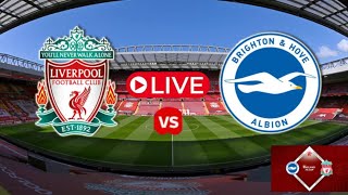 BRIGHTON VS LIVERPOOL LIVE MATCH EFL CUP ROUND 4 2425 FULL MATCH [upl. by Igor]