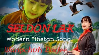 Teaser Seldon lak [upl. by Rasecoiluj597]