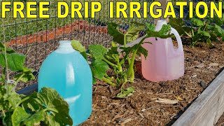 How to install a drip irrigation system [upl. by Esnohpla]