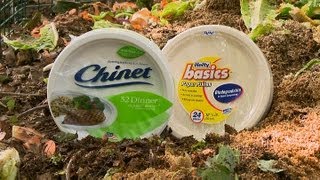 Biodegradable paper plates  Consumer Reports [upl. by Nnorahs]