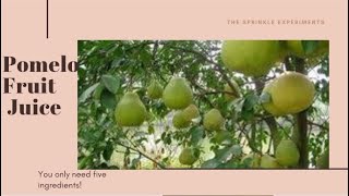 Pomelo Fruit JuiceMatholi Naranga Recipe in Malayalam By Taste My Best [upl. by Nwahsel]