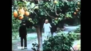 Iranian Revolution 1979 Fall of a Shah 10 of 10  BBC Documentary [upl. by Merrick]