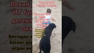 s 🐶Итинг дуст булса булсин дустинг ИТ булмасин🐶 s 🐶 [upl. by Heather]