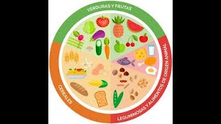 Características de la dieta correcta suficiente equilibrada inocua variada completa y adecuada [upl. by Ariela]