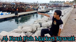 Al Kout Mall Kuwait l Al Kout Mall Kuwait Fahaheel l Al Kout Fish Market Kuwait kuwait viralvideo [upl. by Ahsieken45]