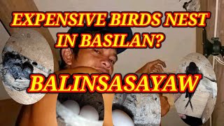 BALINSASAYAW FARM HOUSE IN LAMITAN CITYall swiftlet zamboangacity farming [upl. by Nobel]