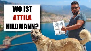 Ist ATTILA HILDMANN unser neuer NACHBAR 😱 [upl. by Essilec115]