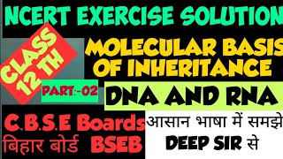 NCERT EXERCISES SOLUTION  DNA and RNA Part 02 [upl. by Illona172]