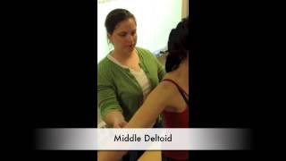 Manual Muscle Test for Middle Deltoid [upl. by Lexy]