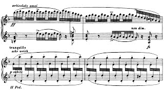 Johann Sebastian BachFerruccio Busoni  Chaconne in D minor BWV 10045 Hmelnitsky [upl. by Tristas926]