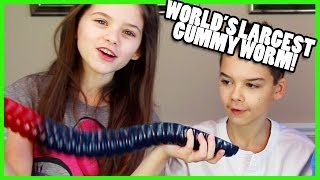 The Worlds Largest Gummy Worm  KittiesMama [upl. by Audres]